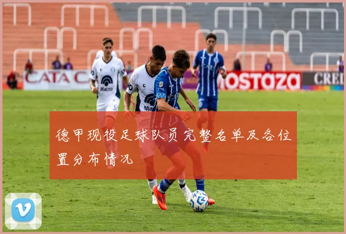德甲现役足球队员完整名单及各位置分布情况