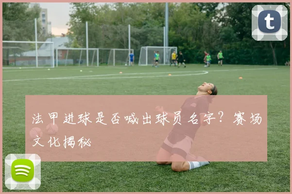 法甲进球是否喊出球员名字？赛场文化揭秘
