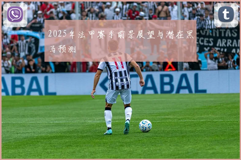 2025年法甲赛季前景展望与潜在黑马预测
